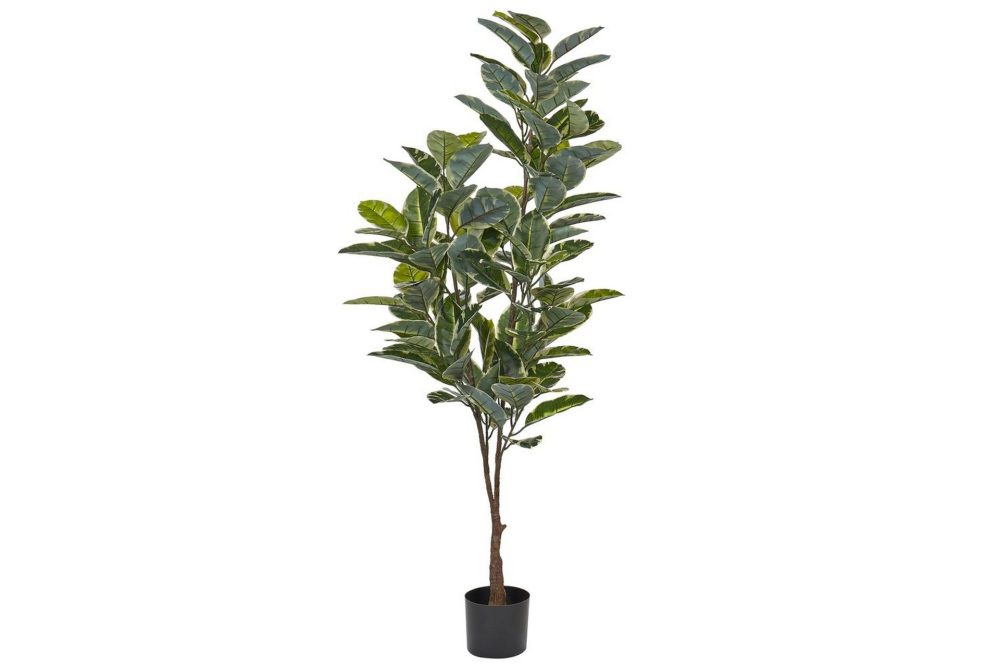 Konstgjord växt Ficus Elastica