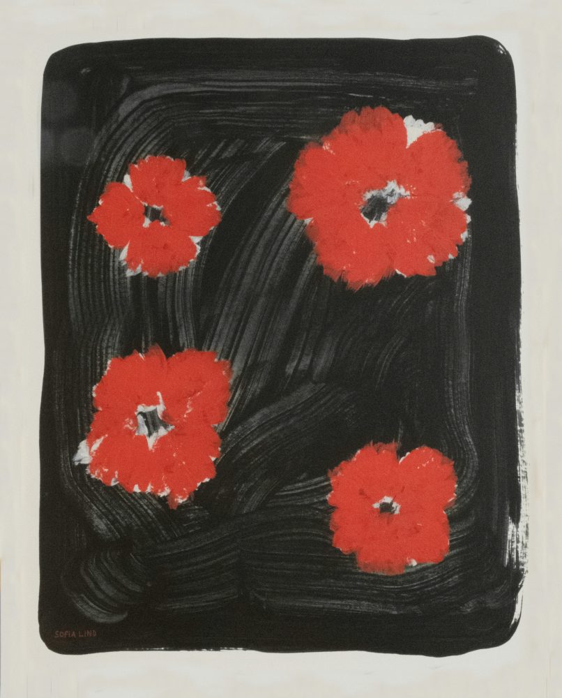Scarlet pimpernel poster 40x50 cm, Röd-svart