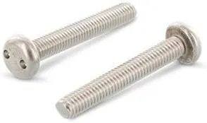 Schäfer & Peters 91012310 Säkerhetsskruv M3, med cylinderhuvud, A2, 100-pack M3 x 10 mm