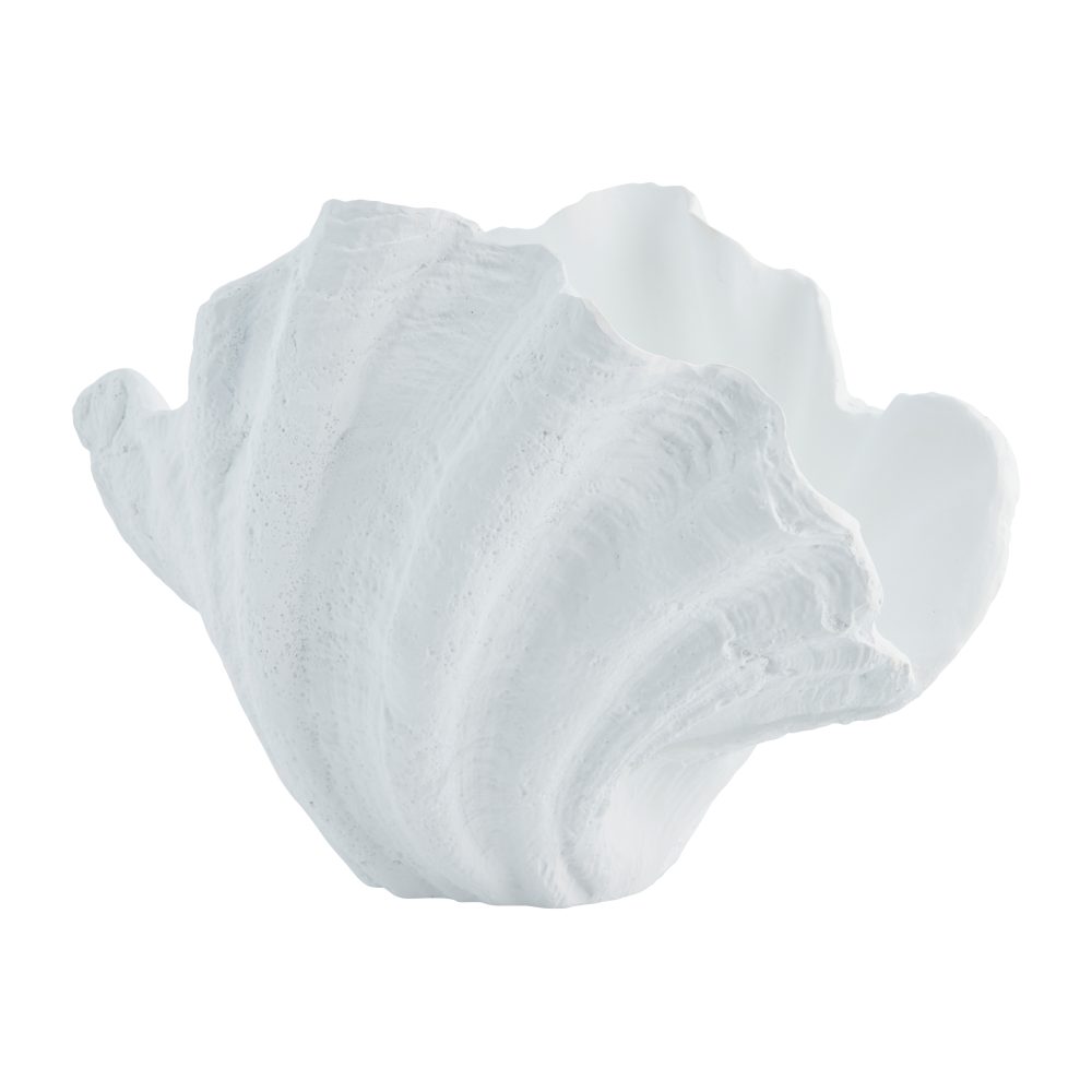 Shella snäcka dekoration, 23 cm